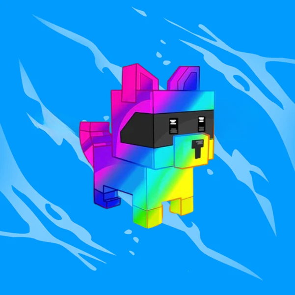 Rainbow Raccoon