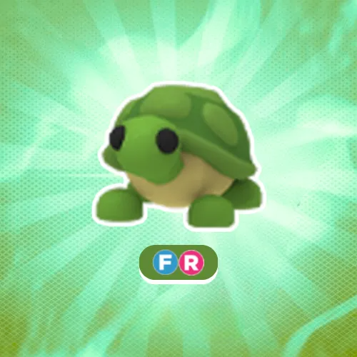 FR Turtle